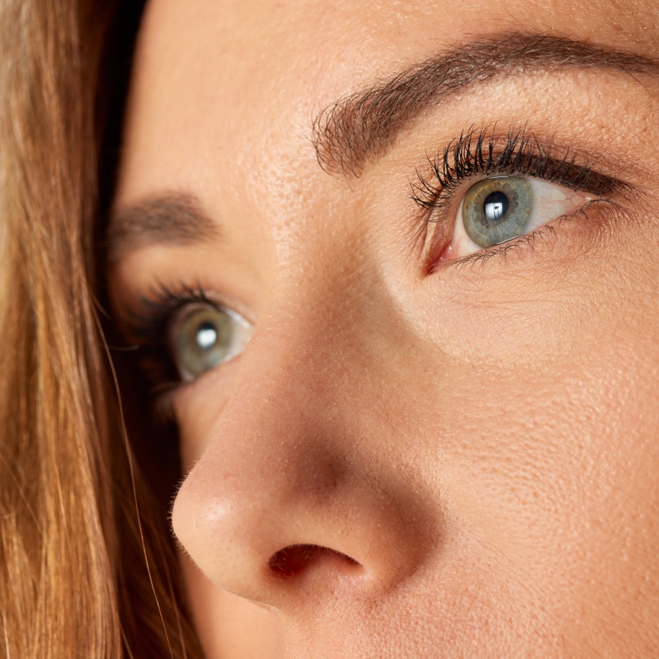 Close-up image of beautiful female face, eyes, brows and nose. Brows and lashes lamination. Concept of natural beauty, skin care, health, plastic surgery, cosmetics, facial treatment, cosmetology